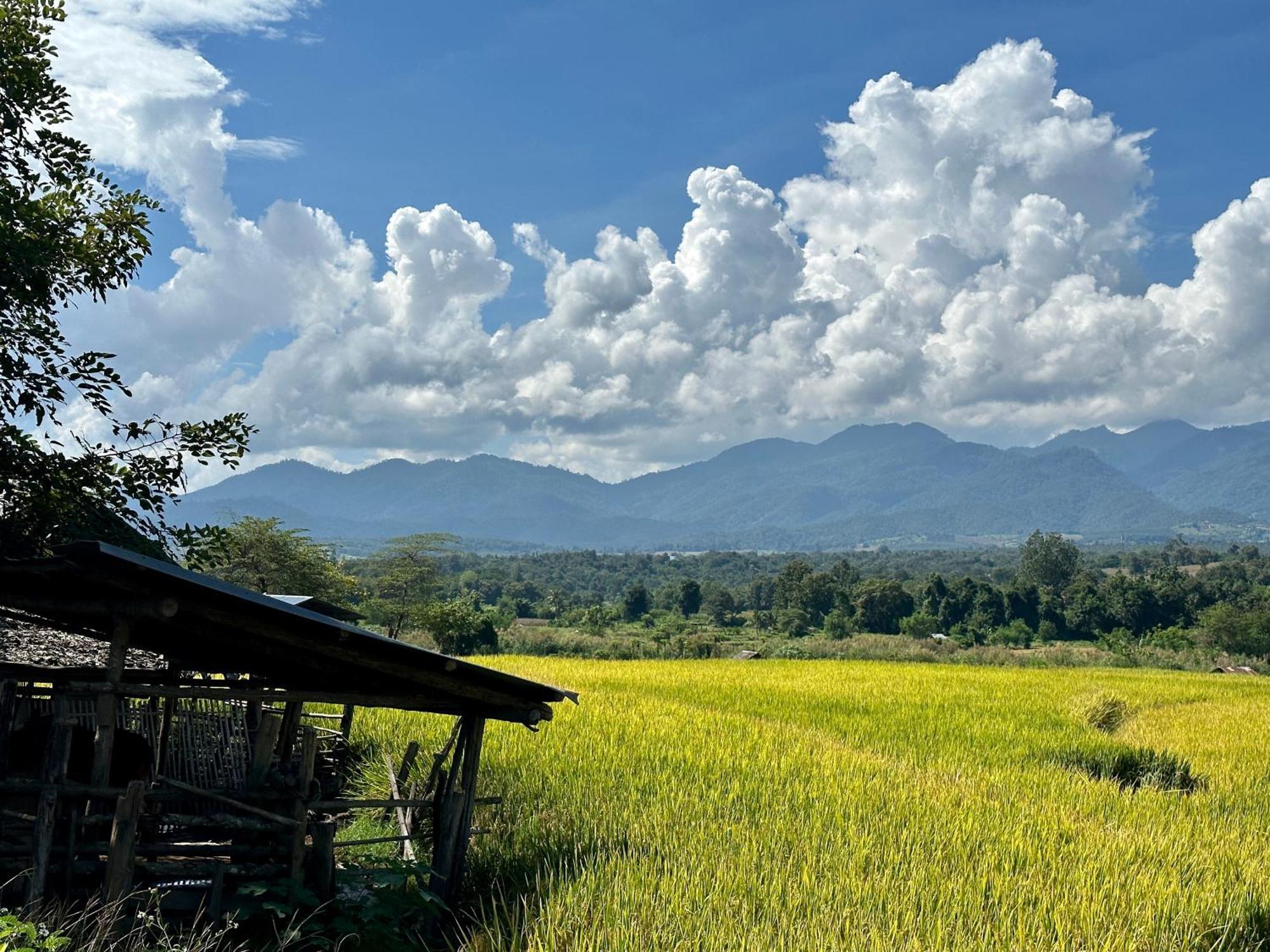 Pura Vida Pai Resort Exterior photo